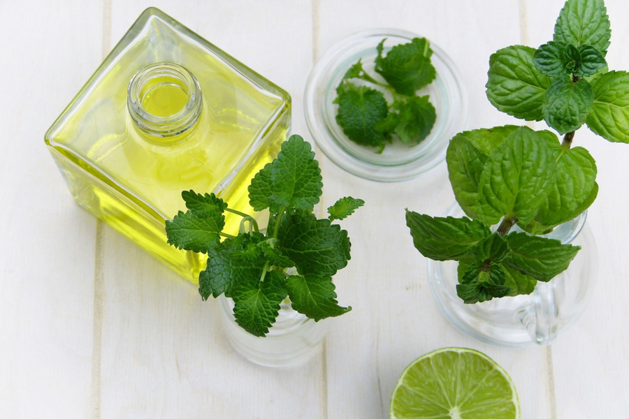 Peppermint Essential Oil - Natural Remedies