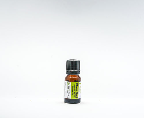 Certified Organic Clove Bud Essential Oil – Multi-Purpose, Healing Aroma, 10mL
